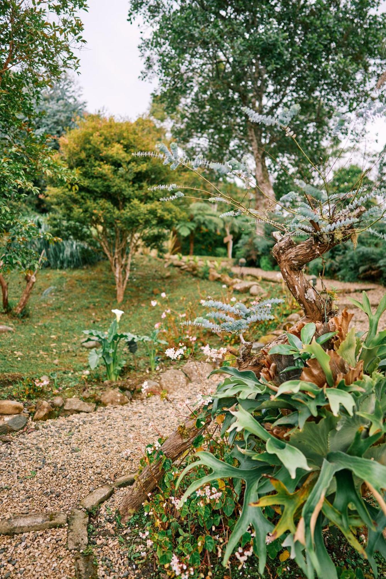 Dapa Eucaliptus Spa Resort מראה חיצוני תמונה